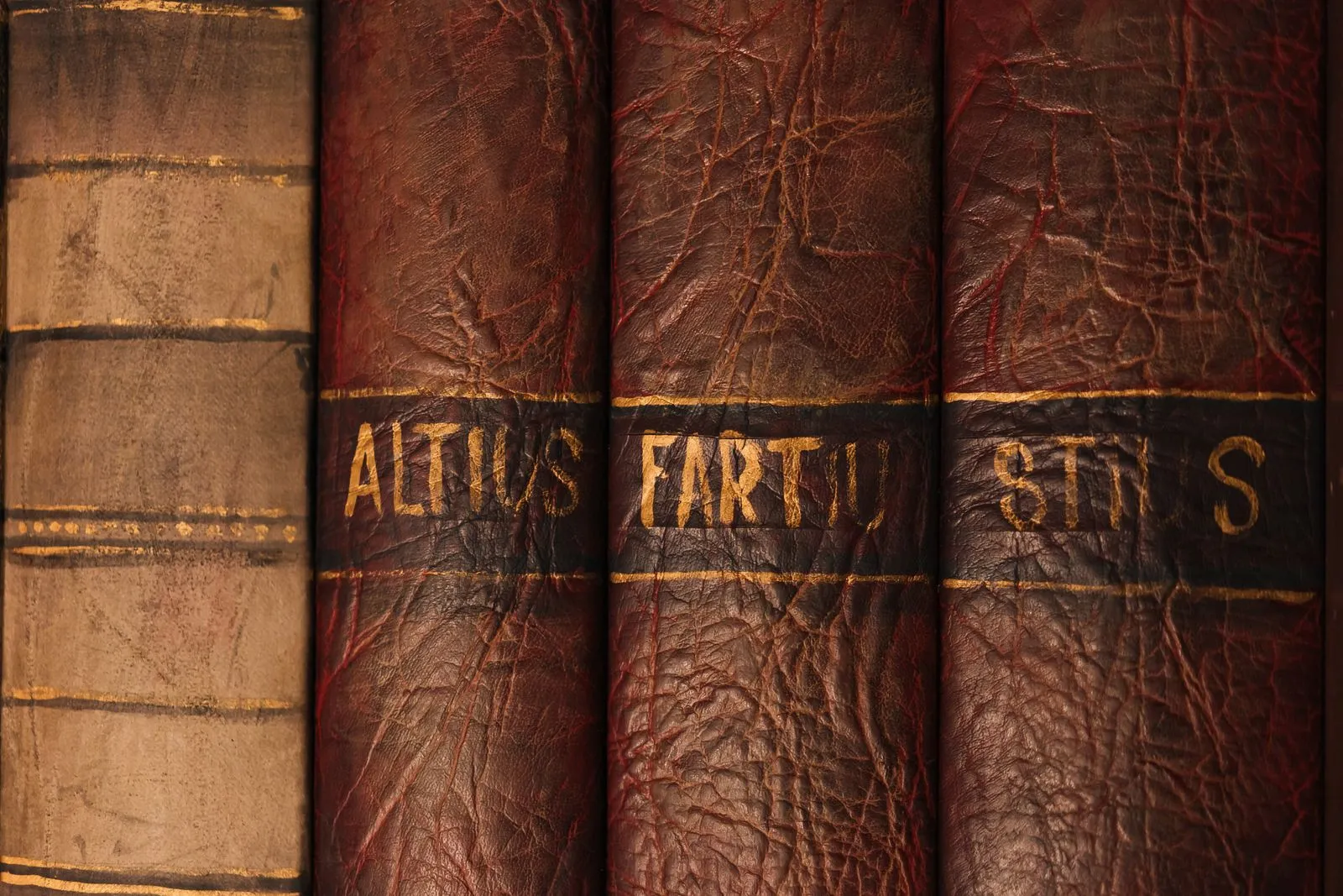 Oxblood leather bound law reports on a shelf